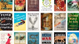 Climate Fiction as Future-Making: Why Cli-Fi is More Than Just Representation